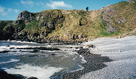 The beach at Whinnyfold